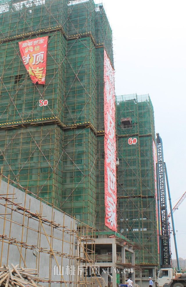 2017060114440411935qnaoiz.jpg 9.jpg