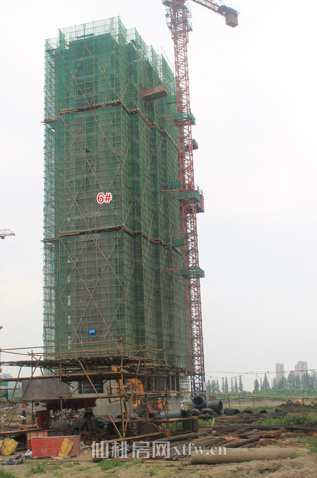 2017060114441461878o8spbk.jpg 7.jpg