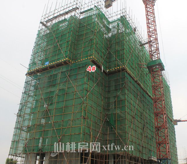 2017060115441289165nrnuxx.jpg 0000.jpg