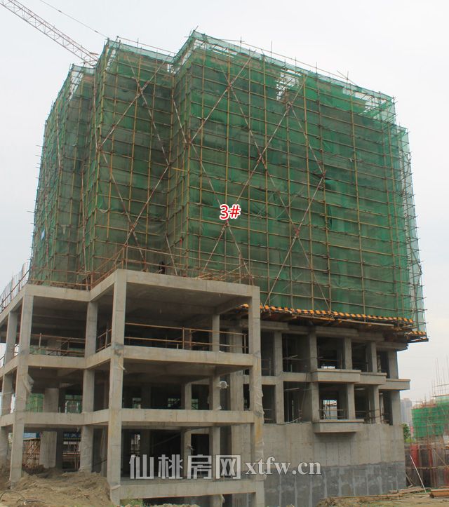 2017060115455430668tmh5wj.jpg 99.jpg