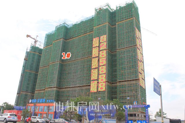 2017060611290582754jzctcw.jpg IMG_7501.jpg