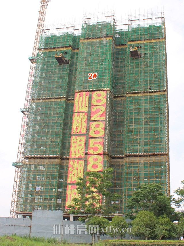 2017060611291869106r1bo1v.jpg 3.jpg