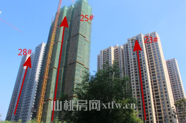 满庭春最新工程进度 38号楼主体完成21层