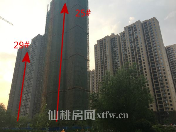 满庭春最新工程进度 38#楼主体完成23层