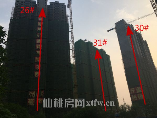 20170620164325975936zhfra.jpg 左26#中间31#右30#_meitu_2.jpg