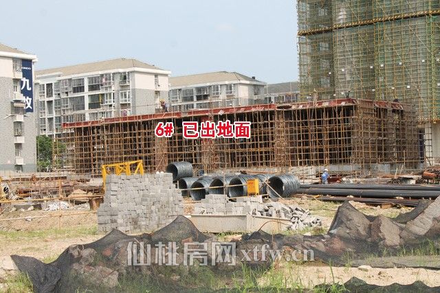 2017062920333310589zhiqma.jpg 6号.jpg