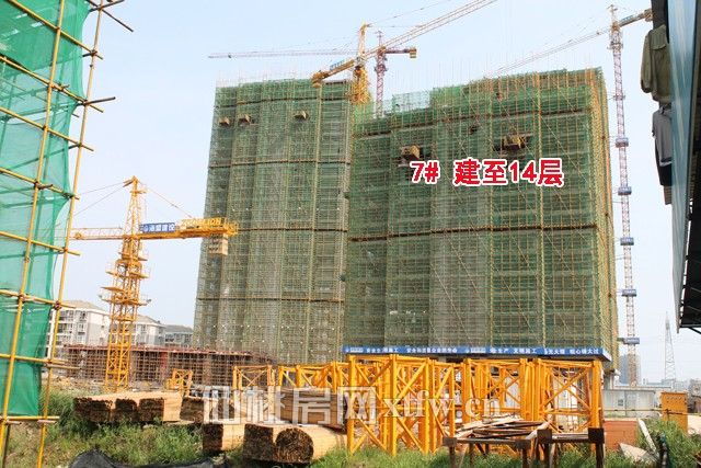 2017062920334984188inyddr.jpg 7号 9号.jpg