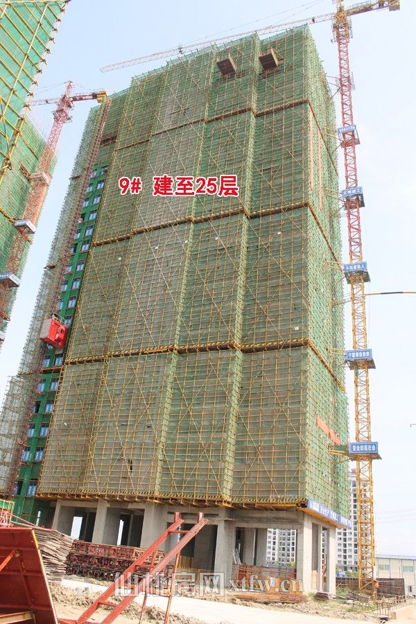 2017062920341187799oo9sdw.jpg 9.jpg