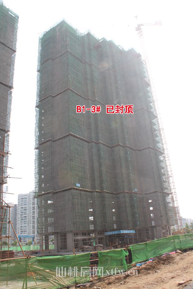 20170630143746304893pkxlu.jpg B3.jpg