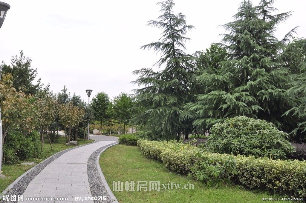 香岸华府精装复式楼