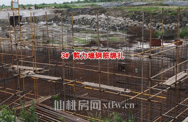 2017070710471631900oyz5xr.jpg 3.jpg