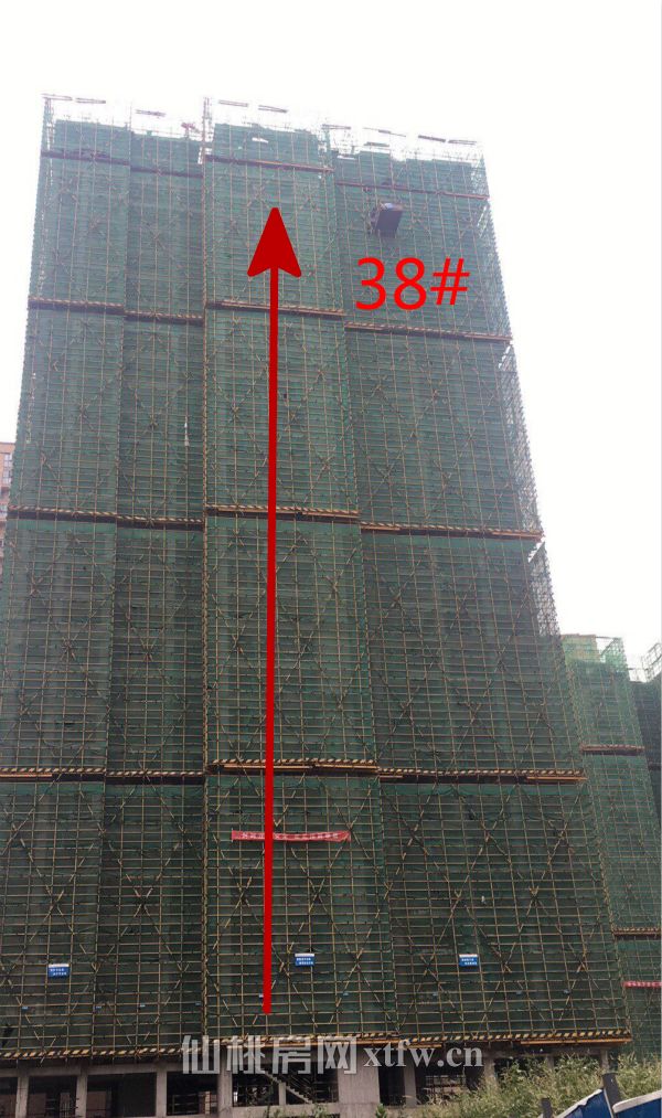 38#楼02_meitu_6.jpg