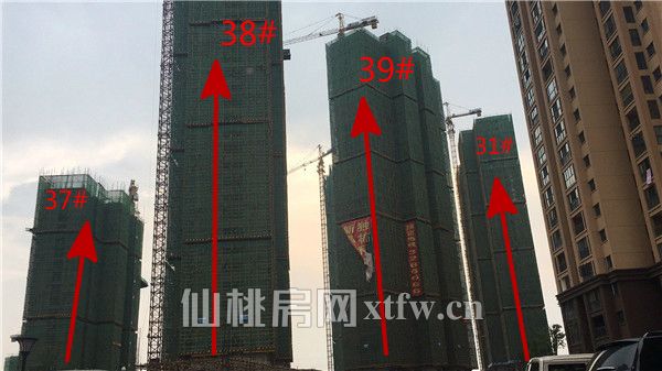 33#、38#、39#、31#楼_副本_meitu_11.jpg