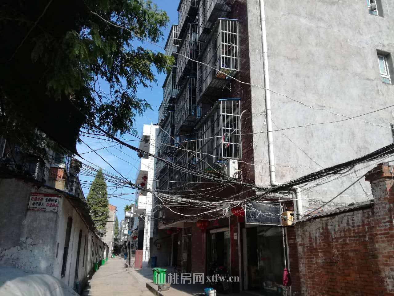 八中、实小附近一室一厅一厨一卫出租