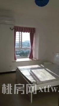 精装修标准 房出租