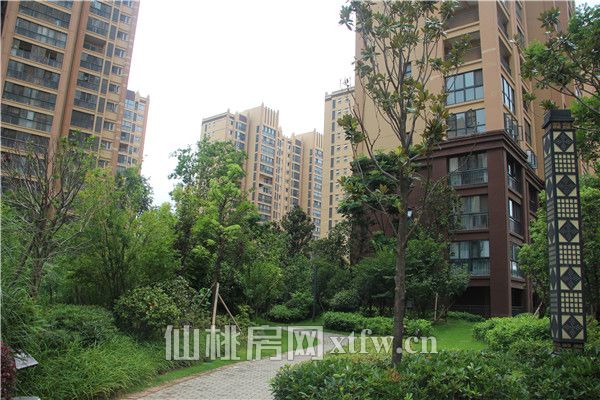 2017081210323756109rhlzbr.jpg IMG_3507.jpg