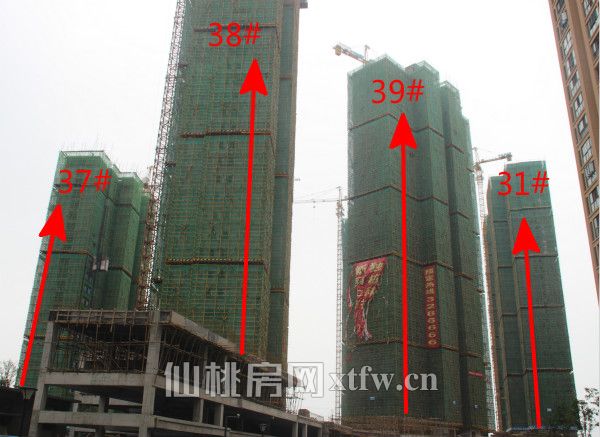 37 38 39 31_meitu_6.jpg