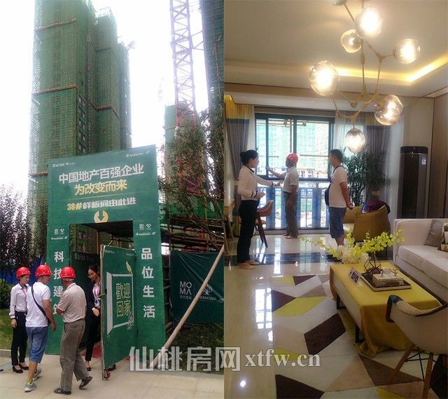 2017083015091234760h7q33n.jpg 未标题-2.jpg