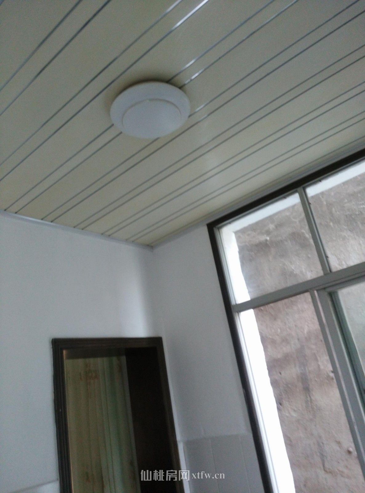 大新路 旁厅室房出租出售