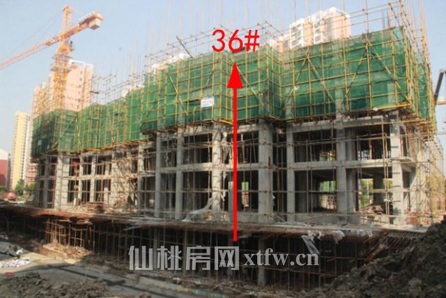 2017091517222277304q5aq3t.jpg 图片3.jpg