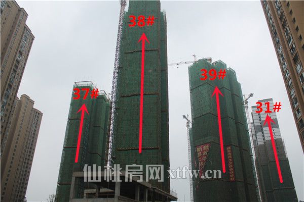 2017092417493759934cicrbf.jpg IMG_9273.jpg