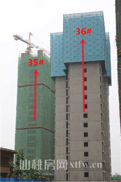 2017092417494770399pihpca.jpg IMG_9275.jpg