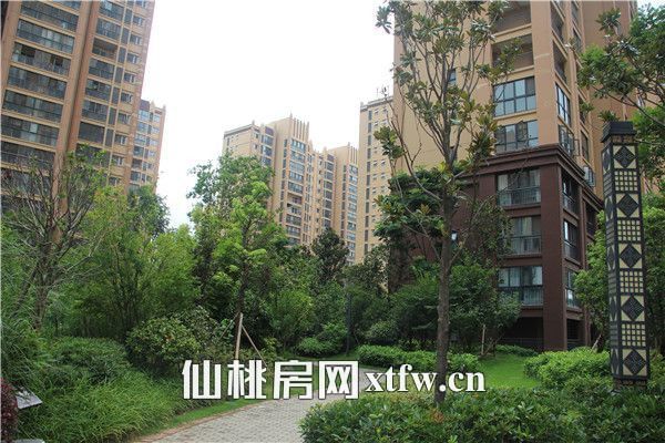 20170924175016552633rsz9z.jpg 2017091014362851247fkbzqc.jpg