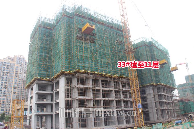 现代森林国际城9月进度：38#建至10层