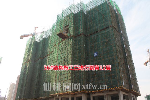 201711031400131625429mvt8.jpg 36.jpg