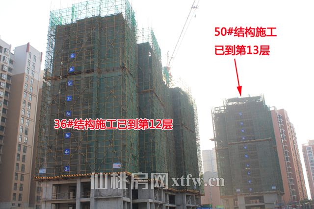 2017110314030671440ckx1mk.jpg 50.jpg