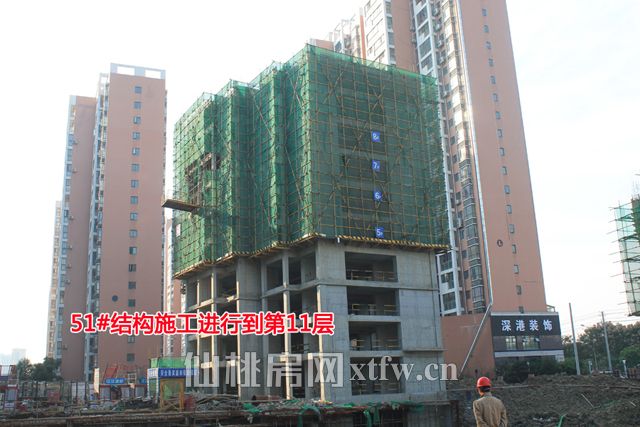 2017110314032674430psaxj3.jpg 51.jpg