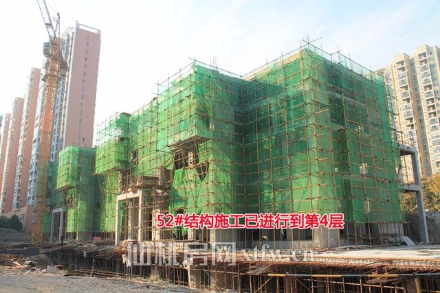 20171103140340166552slvjz.jpg 52.jpg