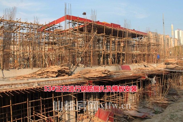 2017110314040743379yd9e75.jpg 53.jpg