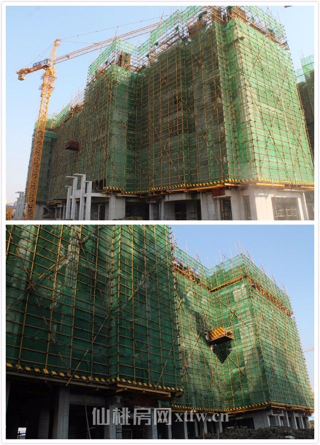 2017110314125748890dreu5x.jpg 6#.jpg