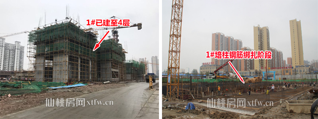 2017111317070266294nhe5jz.jpg 未标题-1.jpg