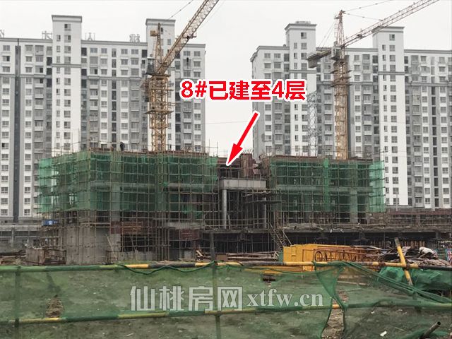 2017111317323729609eiq6am.jpg 8...jpg