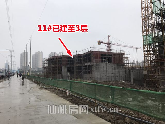 2017111409230168299ixk2e6.jpg 11..jpg