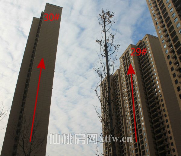 2017112415012346230qirlvi.jpg 30 29_meitu_2.jpg