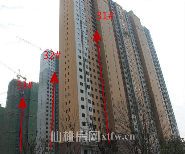 31 32 33_meitu_3.jpg