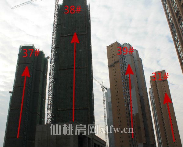 37 38 39 31_meitu_5.jpg