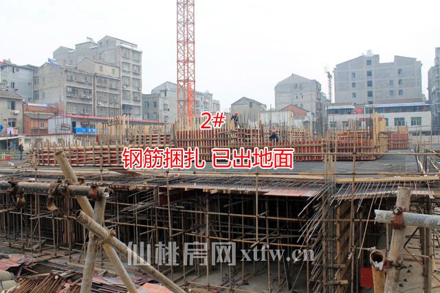 2017112910475096823molprt.jpg 2.jpg