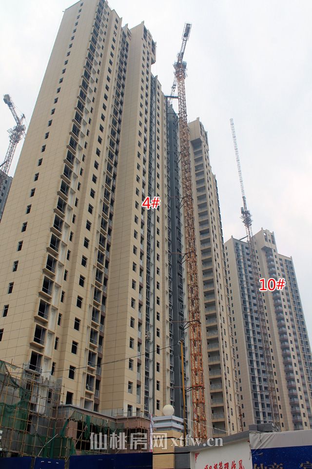 2017112911165444059ixytlv.jpg 4-10.jpg