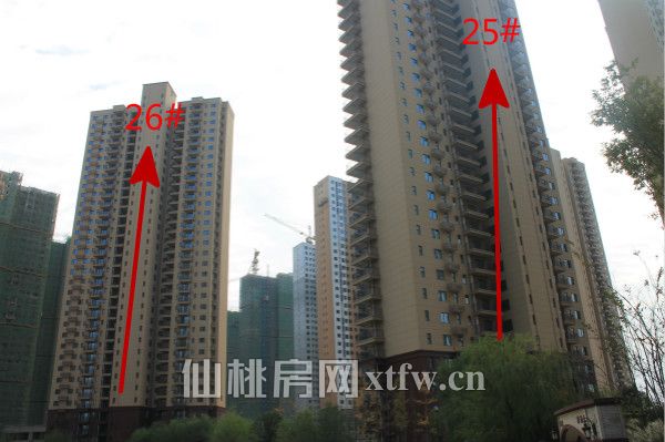 满庭春最新工程进度：52#建至15层