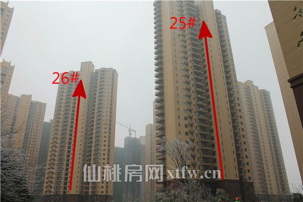 满庭春最新工程进度：56#楼建至20层