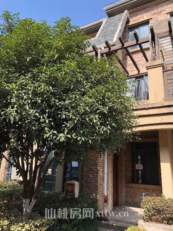 绿地华庭联排别墅