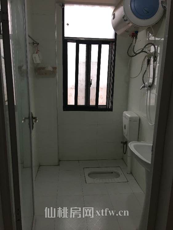 一中对面【1室1厅】武商、福星城、合和国际附近