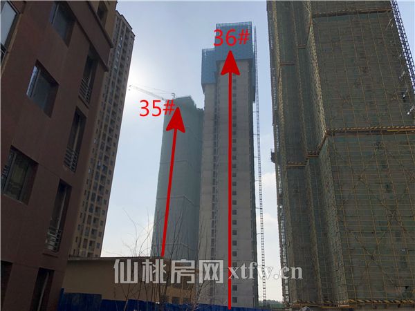 2018030216071516950bchrye.jpg 35,36.jpg