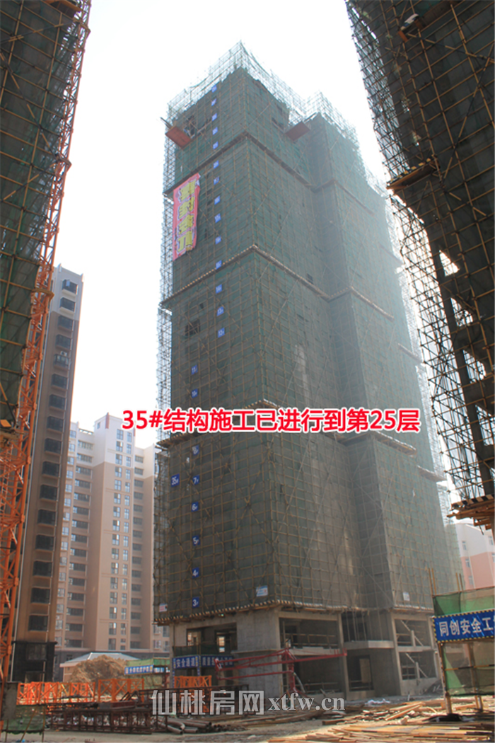 2018030516515640779zt45sr.png 图片3.png