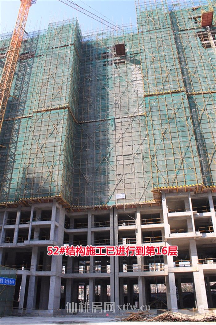 2018030517014922164pe5c9h.jpg 图片11.jpg