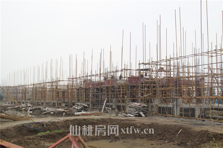 2018030916464921516bfod8d.png 图片7.png